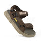 Camel/Brown